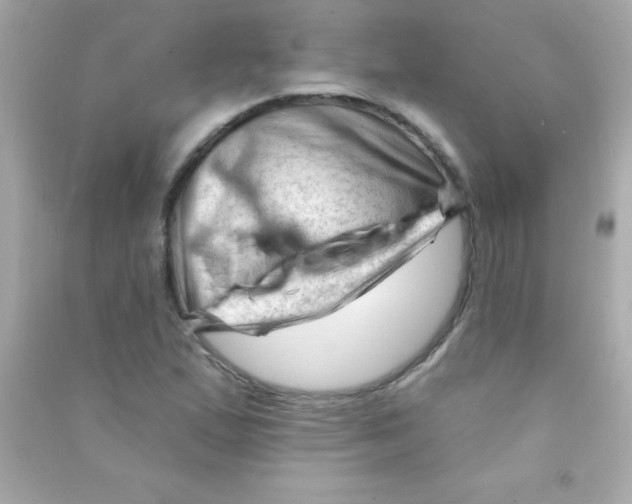 X0000090481167200708102150