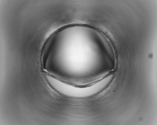 X0000090481168200708102150