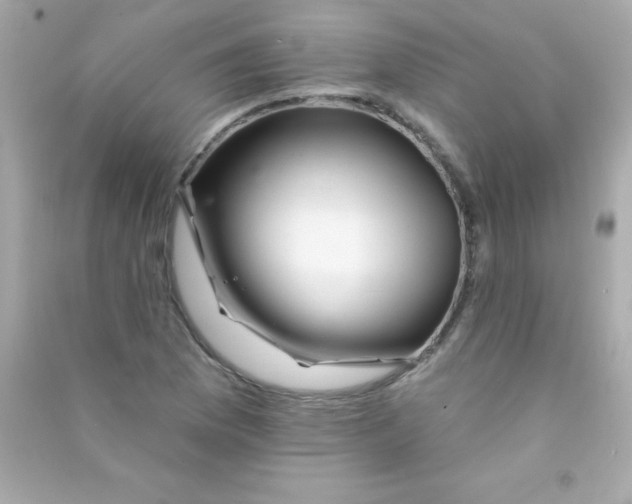 X0000090481169200708102150