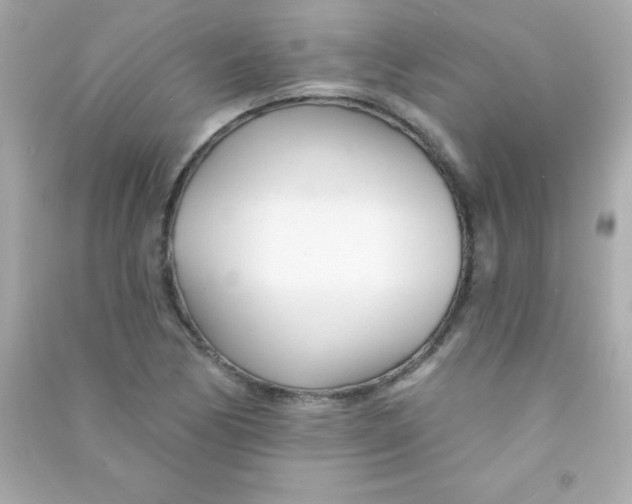 X0000090481170200708102150