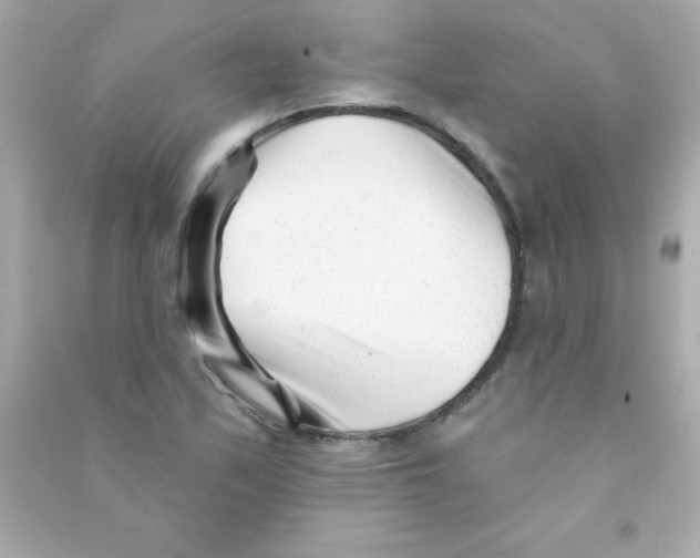 X0000090481171200708102150