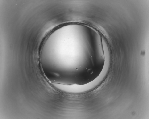 X0000090481172200708102149