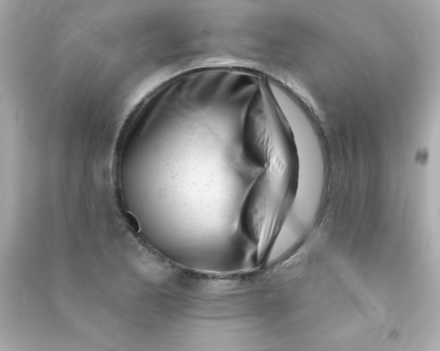 X0000090481173200708102149