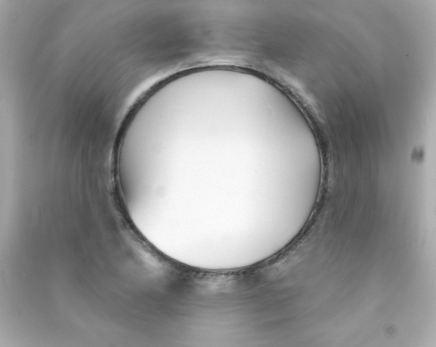 X0000090481174200708102149