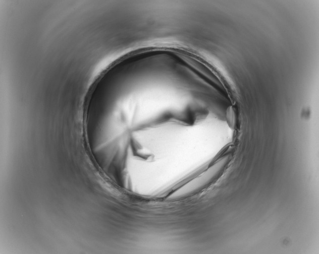 X0000090481176200708102149
