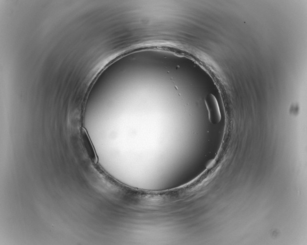 X0000090481177200708102149