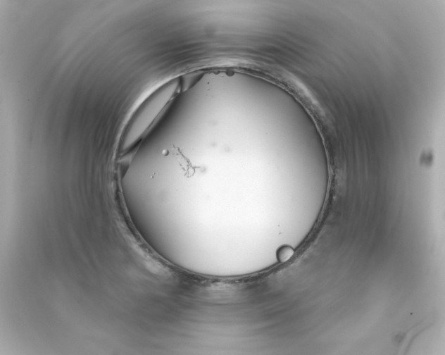 X0000090481178200708102149
