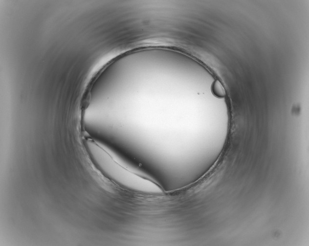 X0000090481179200708102149