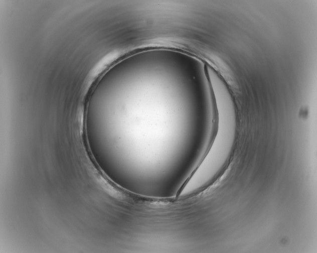 X0000090481180200708102149