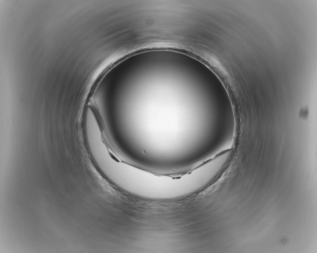X0000090481181200708102149