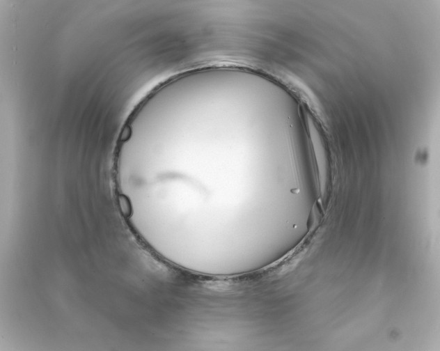 X0000090481182200708102149