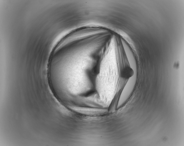 X0000090481183200708102149