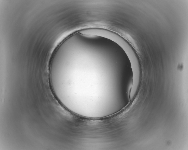 X0000090481184200708102149