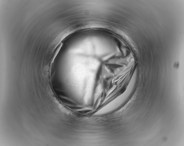 X0000090481185200708102149