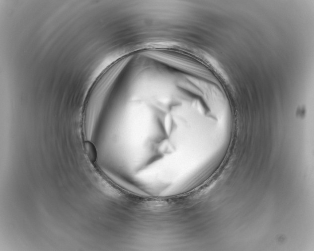 X0000090481186200708102149