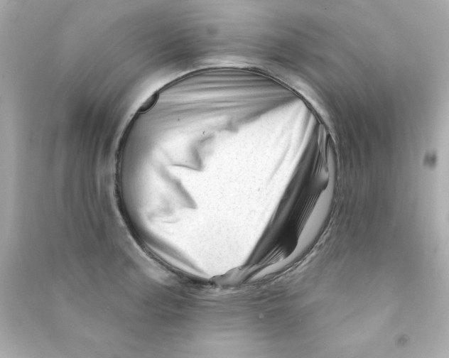 X0000090481187200708102149