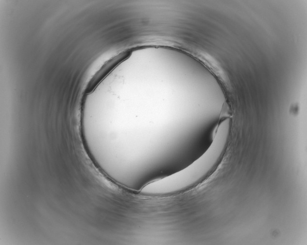 X0000090481188200708102149