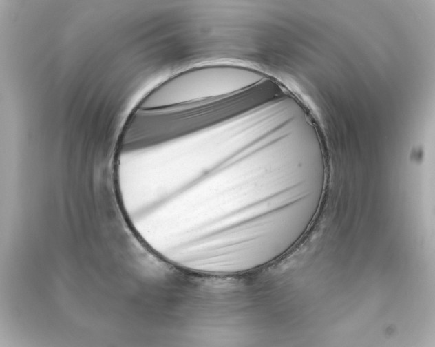 X0000090481189200708102149