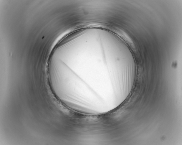 X0000090481190200708102149