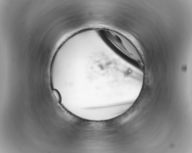 X0000090481191200708102149