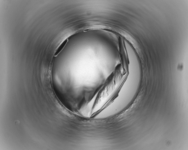 X0000090481193200708102149