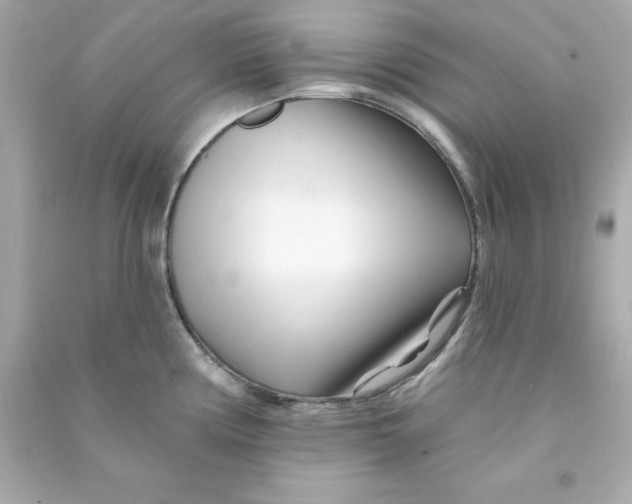 X0000090481194200708102149