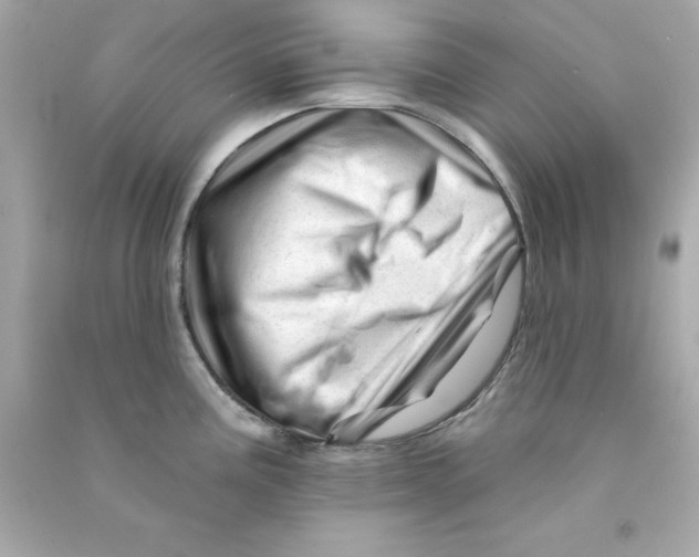 X0000090481195200708102149