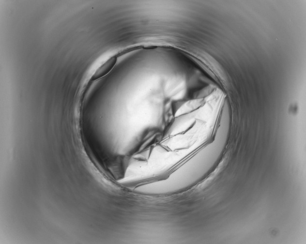 X0000090481196200708102149