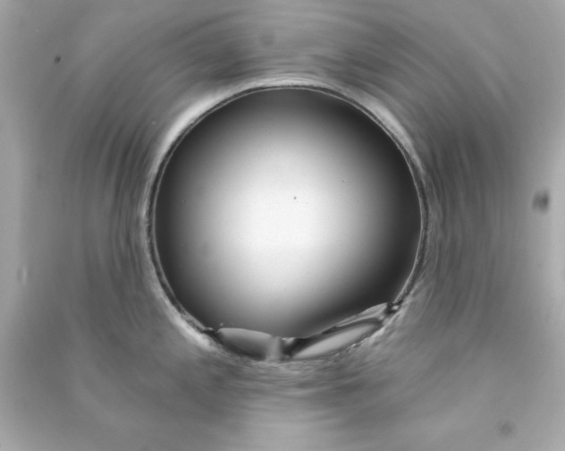 X0000090481197200708102149