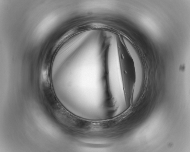 X0000090481198200708102149