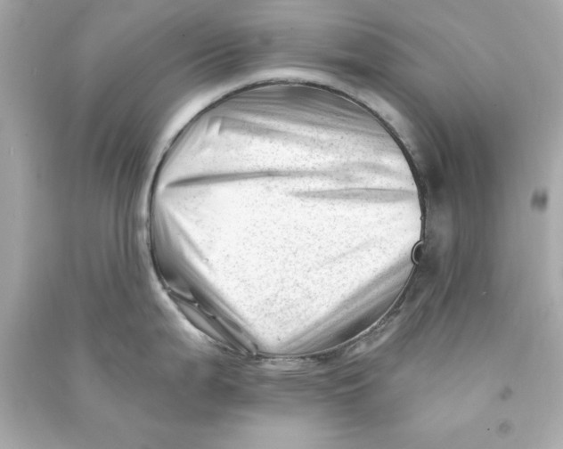X0000090481199200708102149