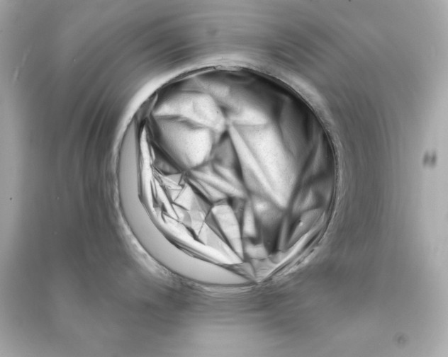 X0000090481200200708102149