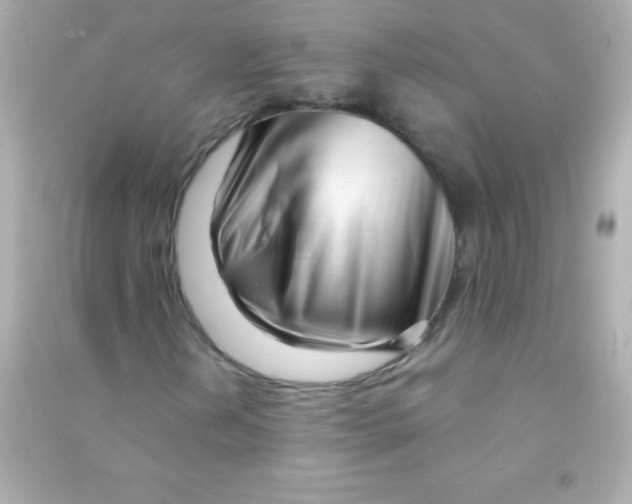 X0000090481202200708102148