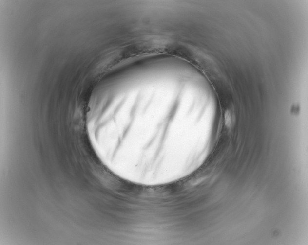 X0000090481203200708102148