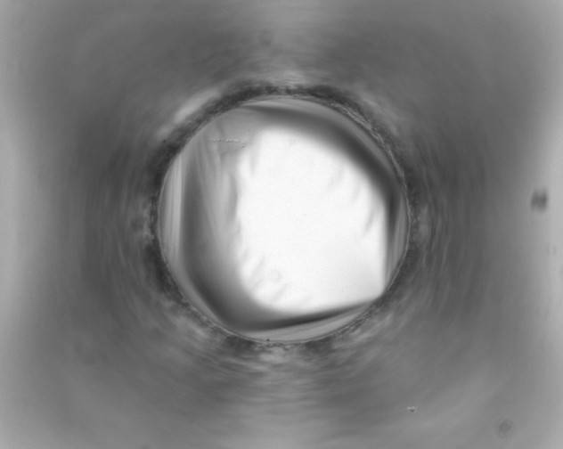 X0000090481205200708102148