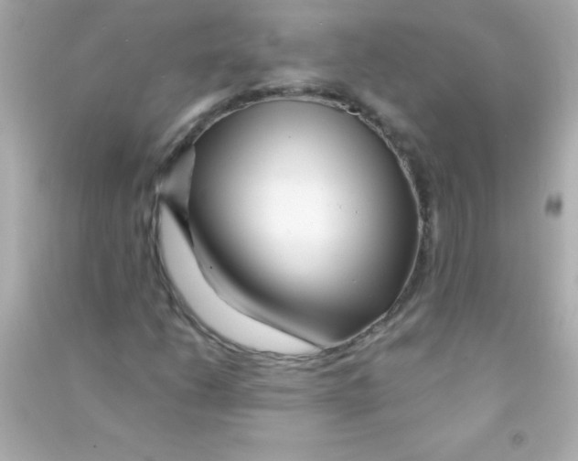 X0000090481206200708102148