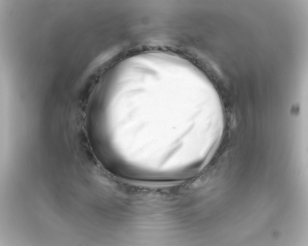 X0000090481207200708102148