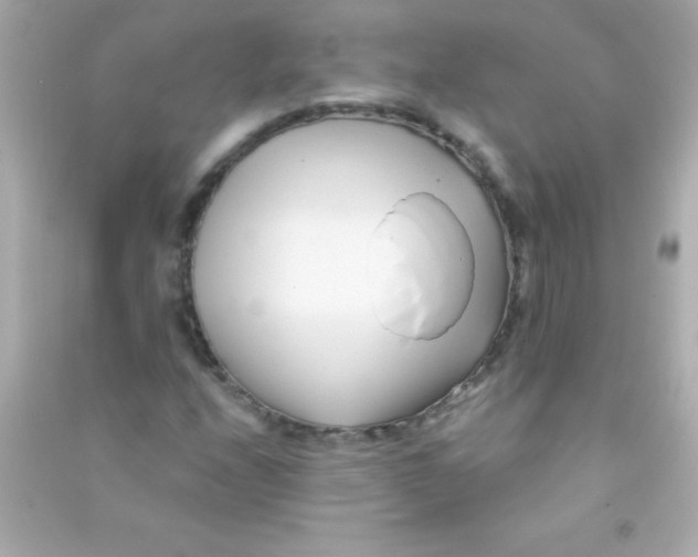 X0000090481208200708102148