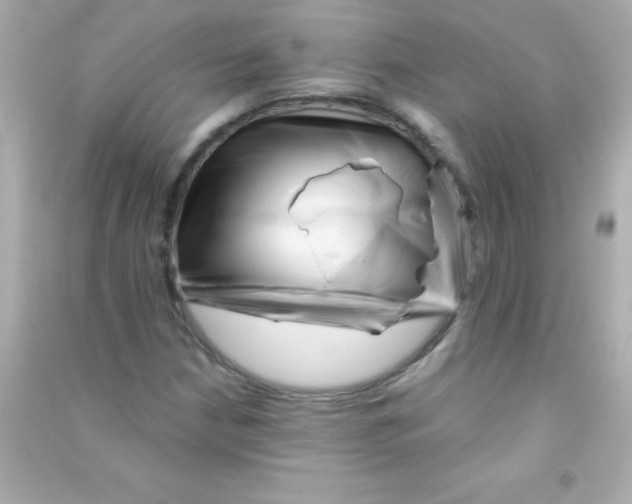 X0000090481210200708102149