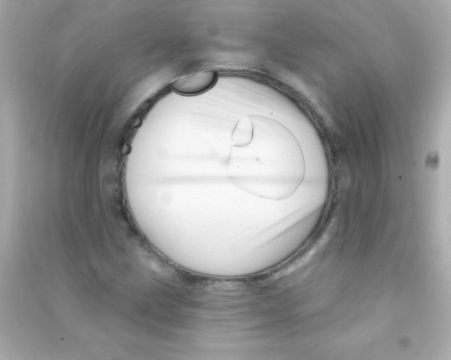 X0000090481211200708102149