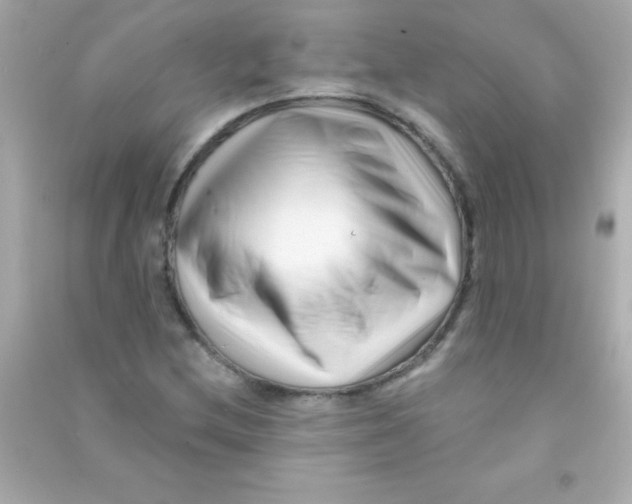 X0000090481212200708102149