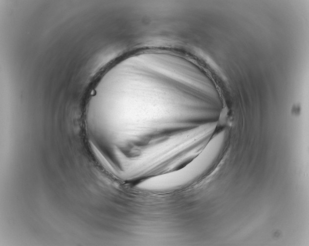 X0000090481213200708102149