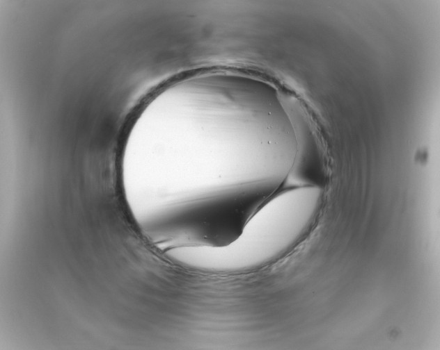 X0000090481214200708102149