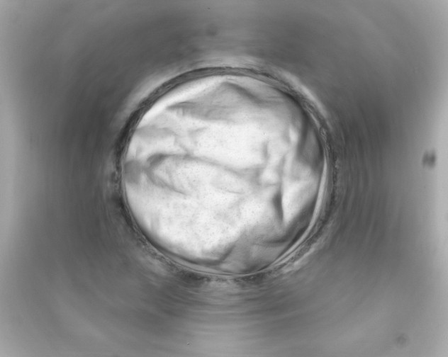 X0000090481215200708102149