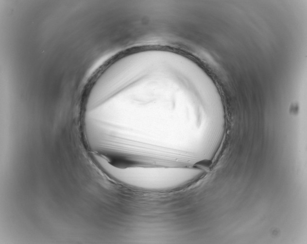 X0000090481216200708102149