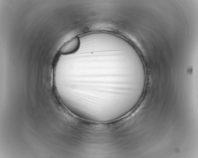 X0000090481219200708102149