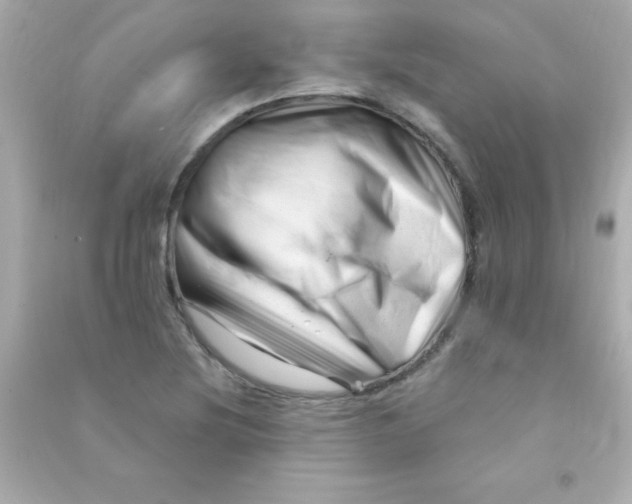 X0000090481220200708102149