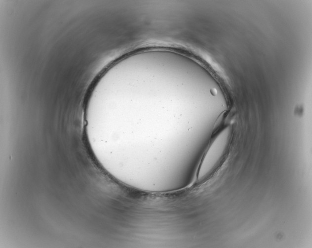 X0000090481221200708102149