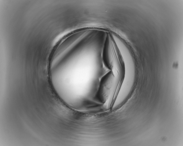 X0000090481222200708102149