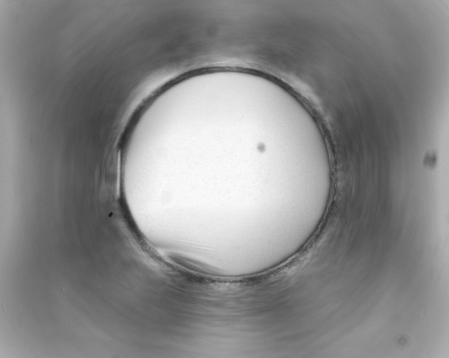 X0000090481223200708102149